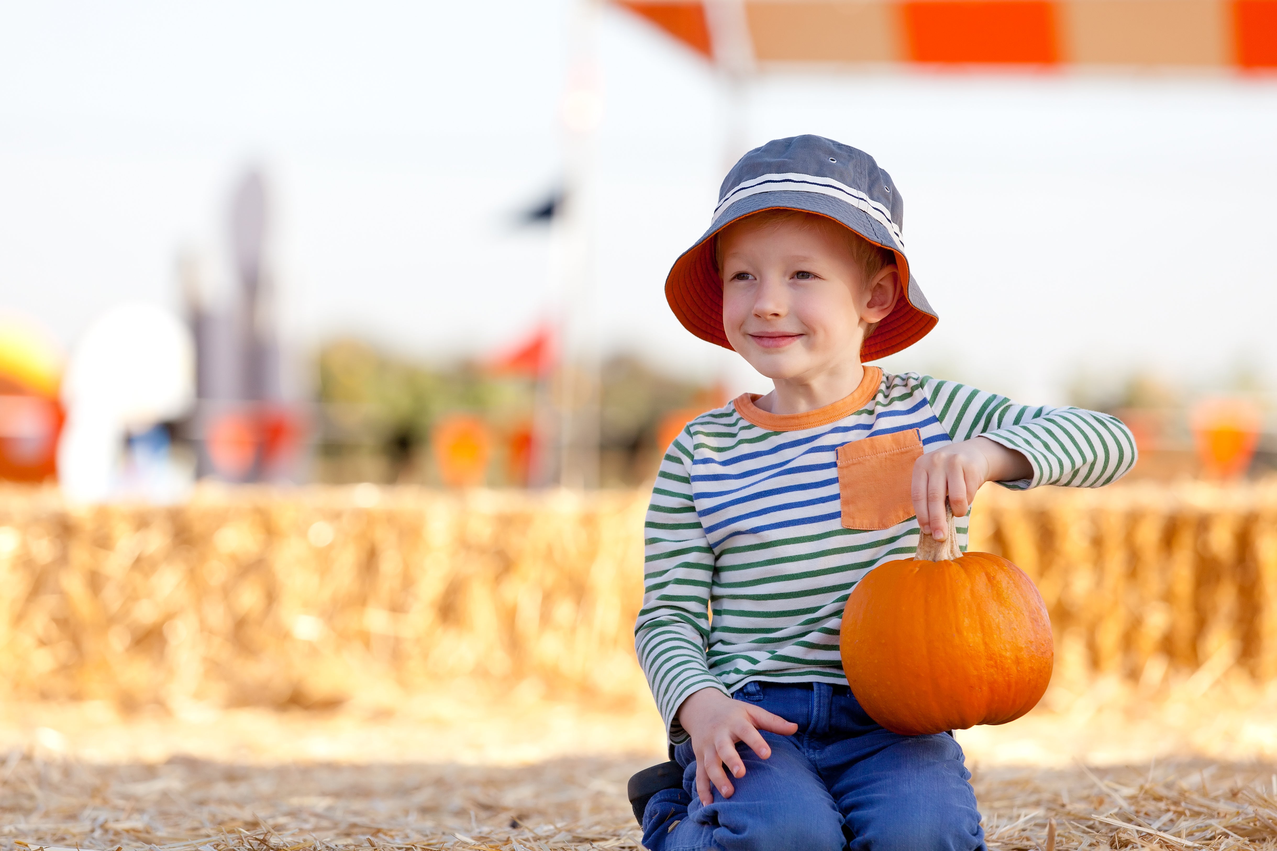 A young boy wearing a sun hat and a striped shirt sits outdoors, holding a small pumpkin at a pumpkin patch.